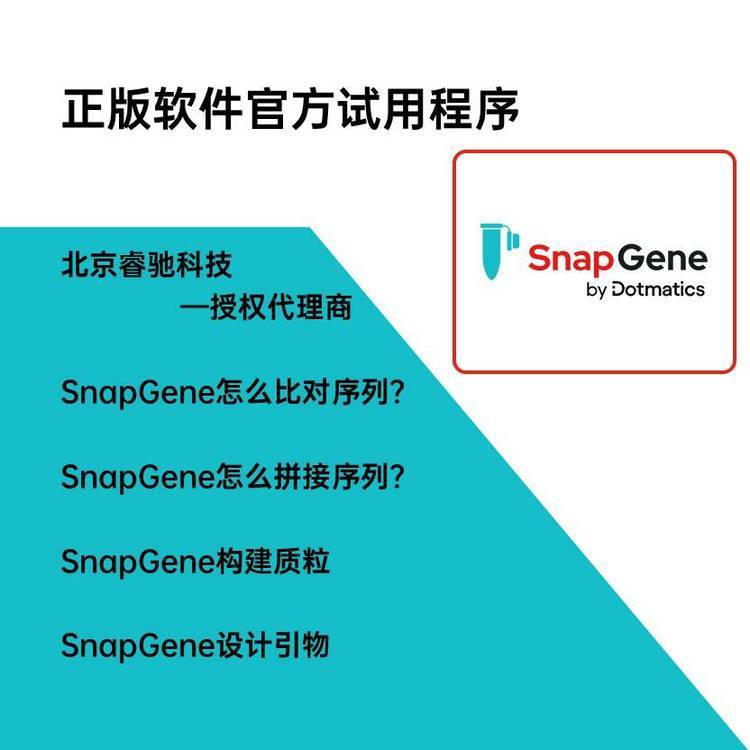 企业级软件开发如何从"能跑"走向"好用"：一份来自实施一线的观察